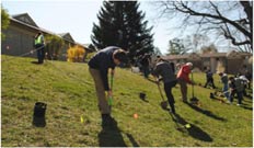 (image: tree planting) 