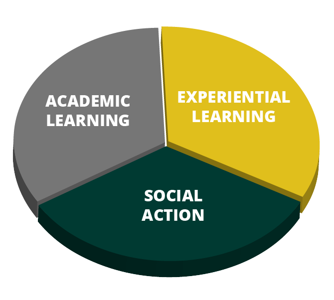 (image: SJPS Program Structure Pie Chart)