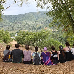 Experiential learning opportunities