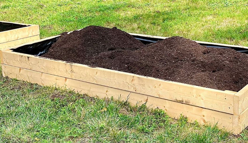 Community Garden