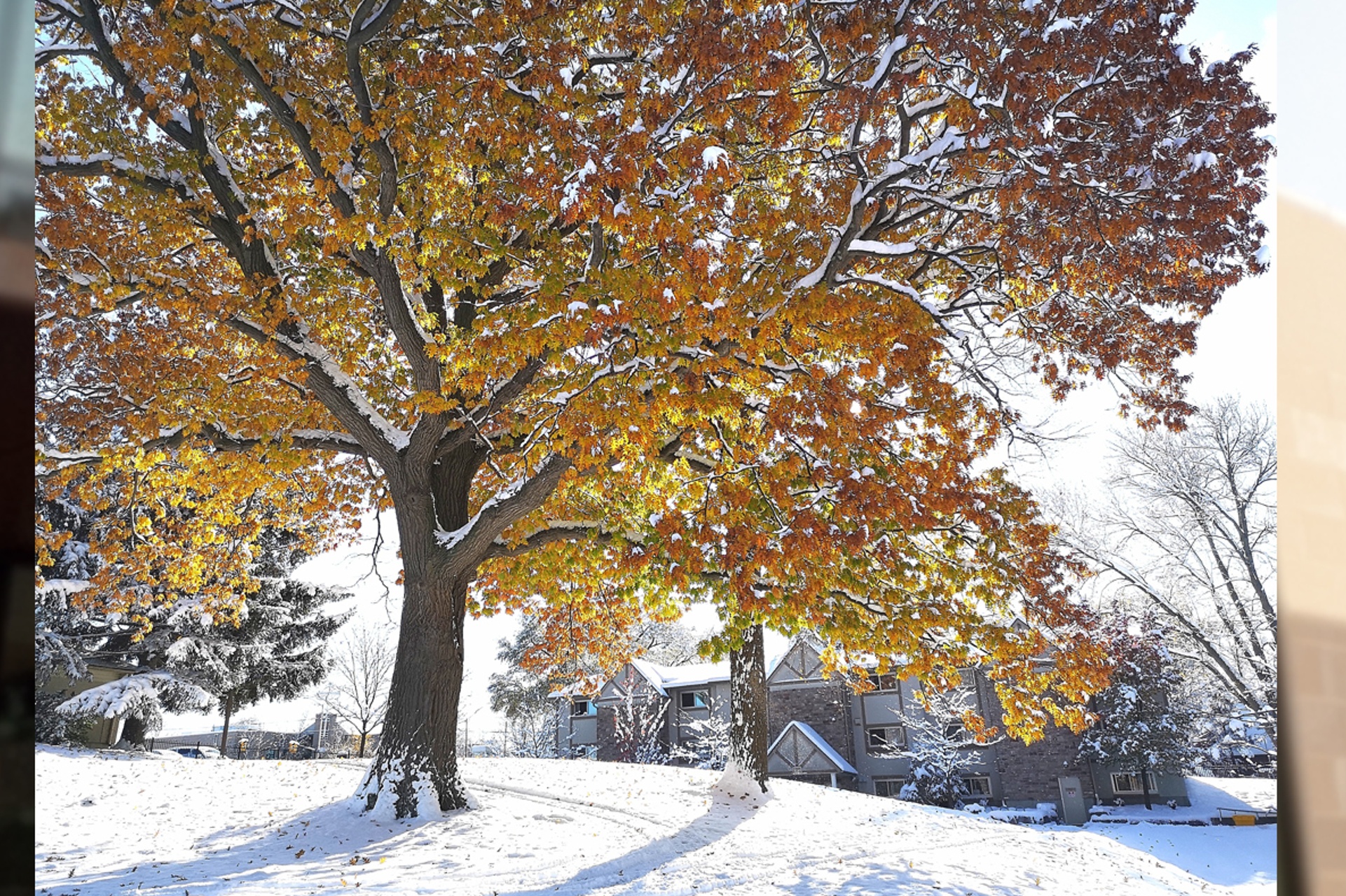 Winter Term to be blended