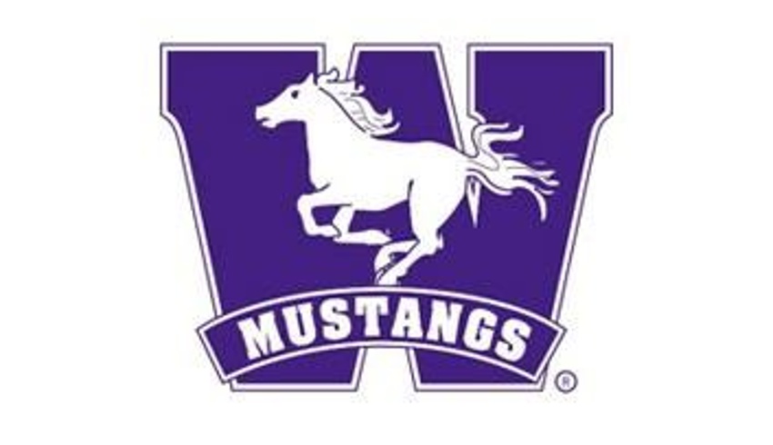 King's student-athletes among Mustangs in action this summer