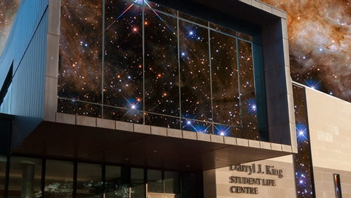 King's Cosmos