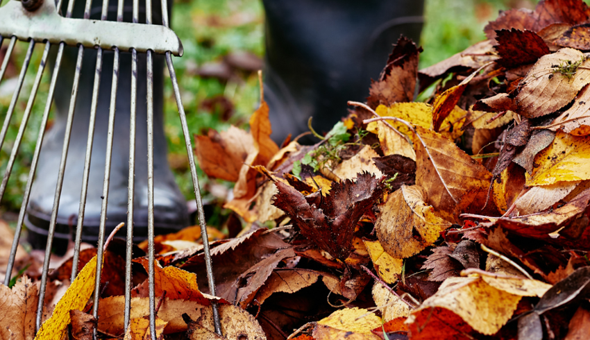 Fall Community Garden Clean-up