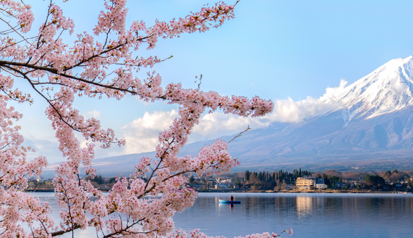 Study in Japan at from Kwansei Gakuin University