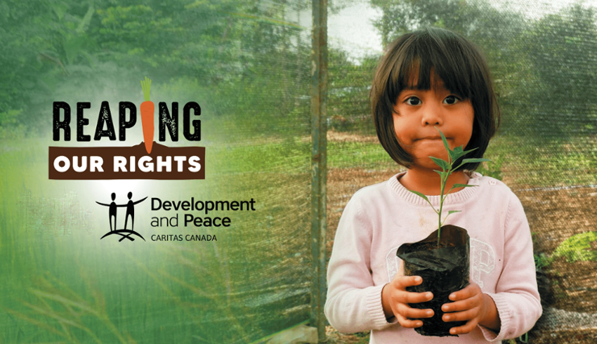 Development & Peace