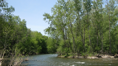 Eco Initiatives